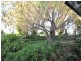 Gunnedah NSW 2380