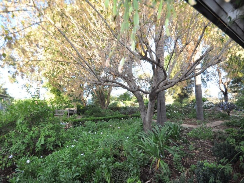 Gunnedah NSW 2380