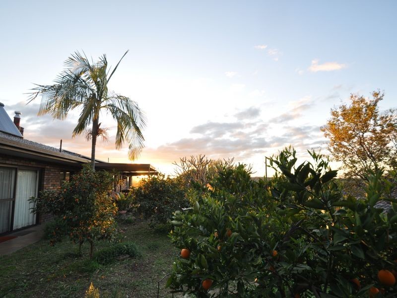 24 Goodwin Road, Gunnedah NSW 2380