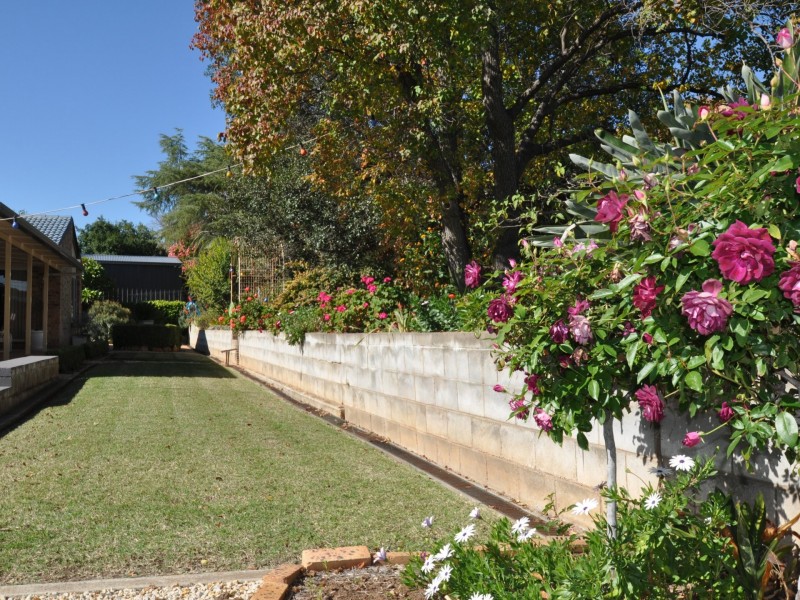 12 Anderson Place, Gunnedah NSW 2380