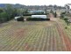 165-167 Kamilaroi Road, Gunnedah NSW 2380