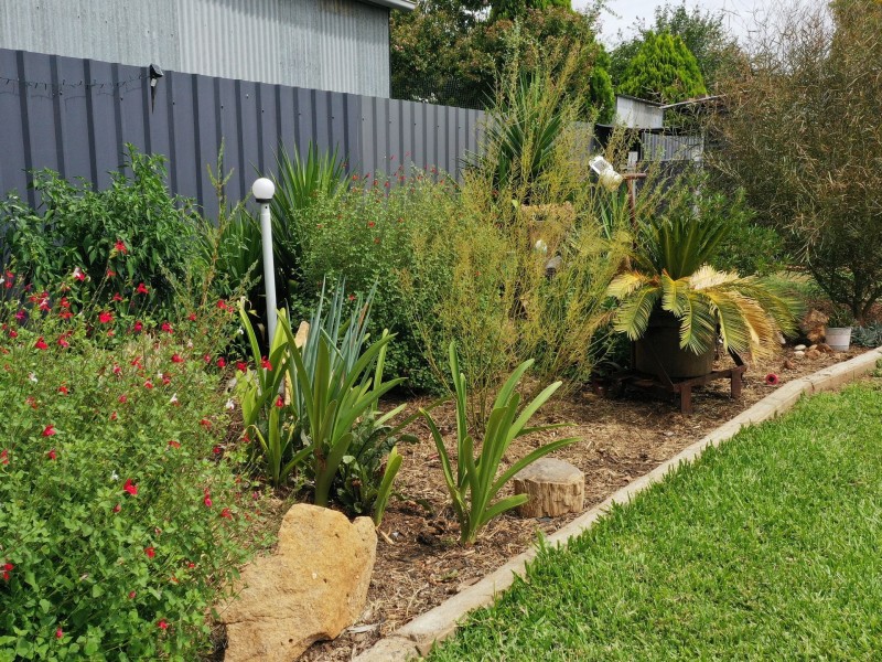 147 Little Barber Street, Gunnedah NSW 2380