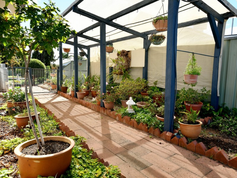 41 Walter Rodd Street, Gunnedah NSW 2380