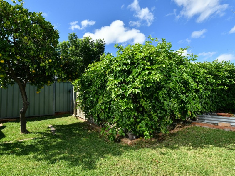 41 Walter Rodd Street, Gunnedah NSW 2380