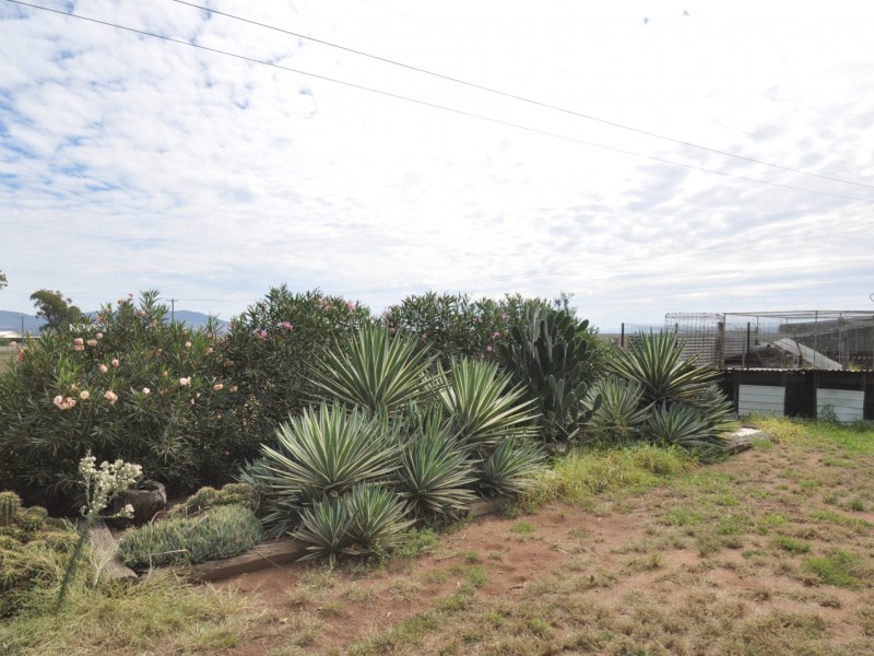 71 Darby Road, Spring Ridge NSW 2343