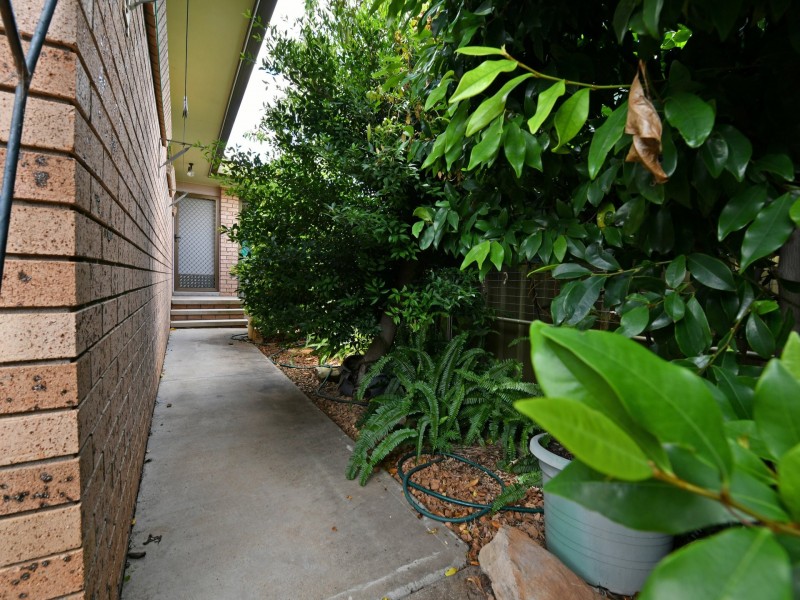 19 Rodney St, Gunnedah NSW 2380