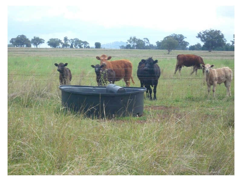 Tambar Springs NSW 2381