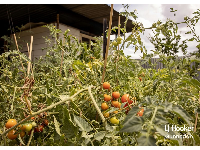 69 View St, Gunnedah NSW 2380