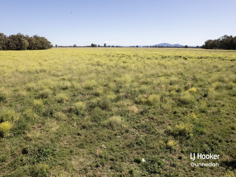 198 Kelvin Road, Gunnedah NSW 2380