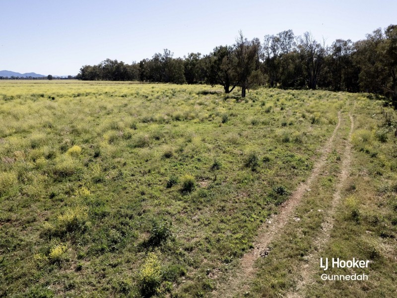 198 Kelvin Road, Gunnedah NSW 2380