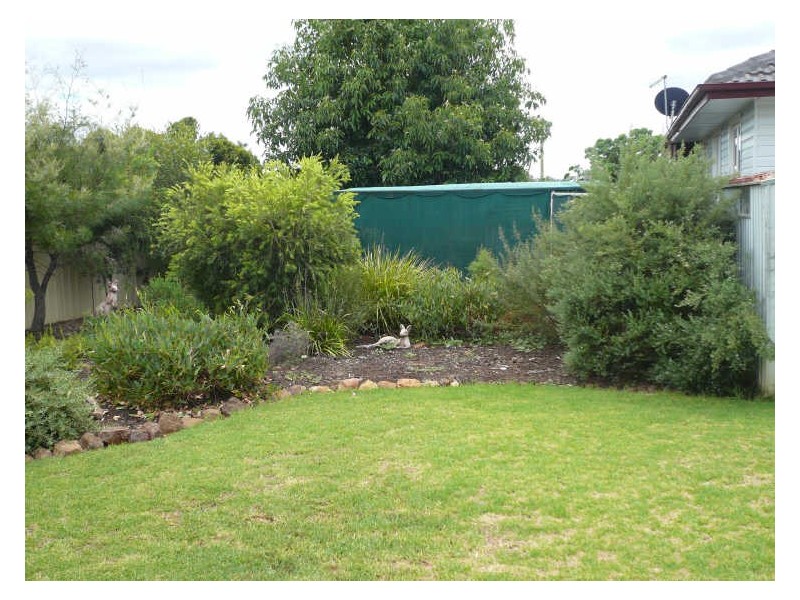 37 Jaeger Ave, Gunnedah NSW 2380