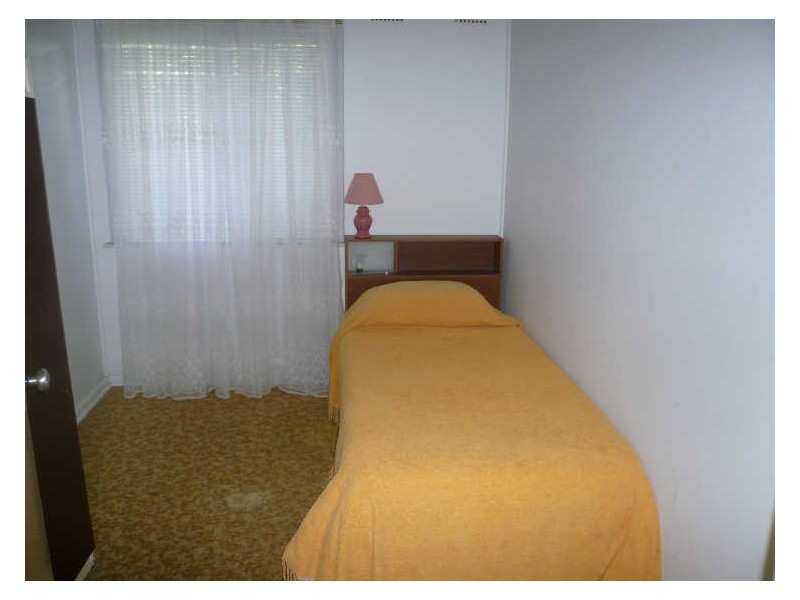 37 Jaeger Ave, Gunnedah NSW 2380