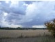 Gunnedah NSW 2380