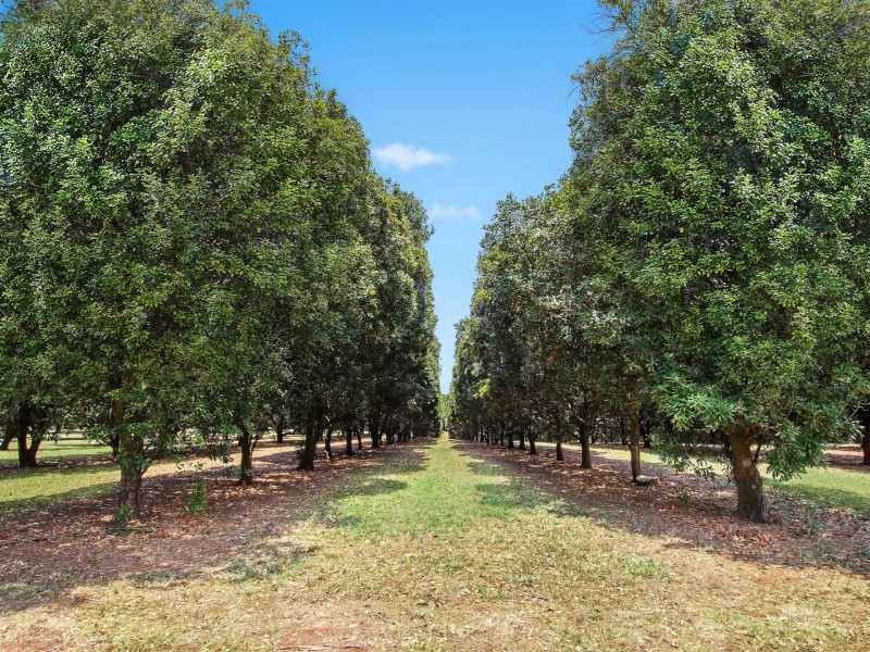 131 Goremans Road, Eureka NSW 2480