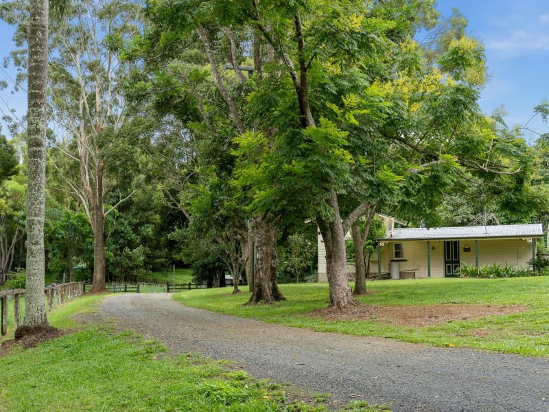 955 Friday Hut Road, Binna Burra NSW 2479