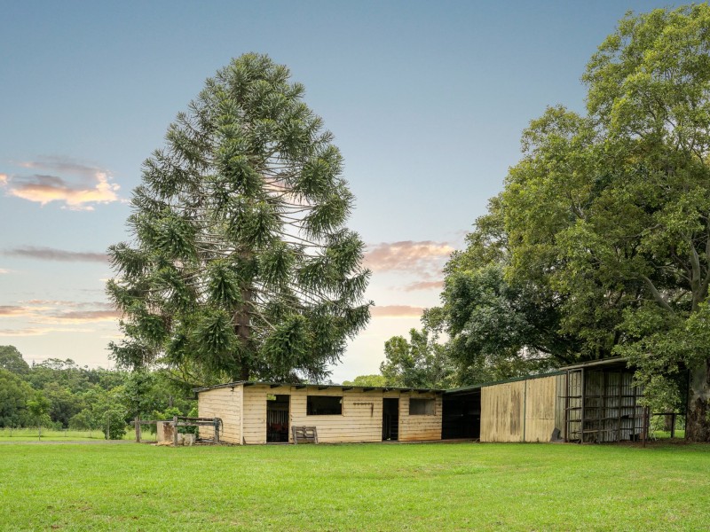 955 Friday Hut Road, Binna Burra NSW 2479