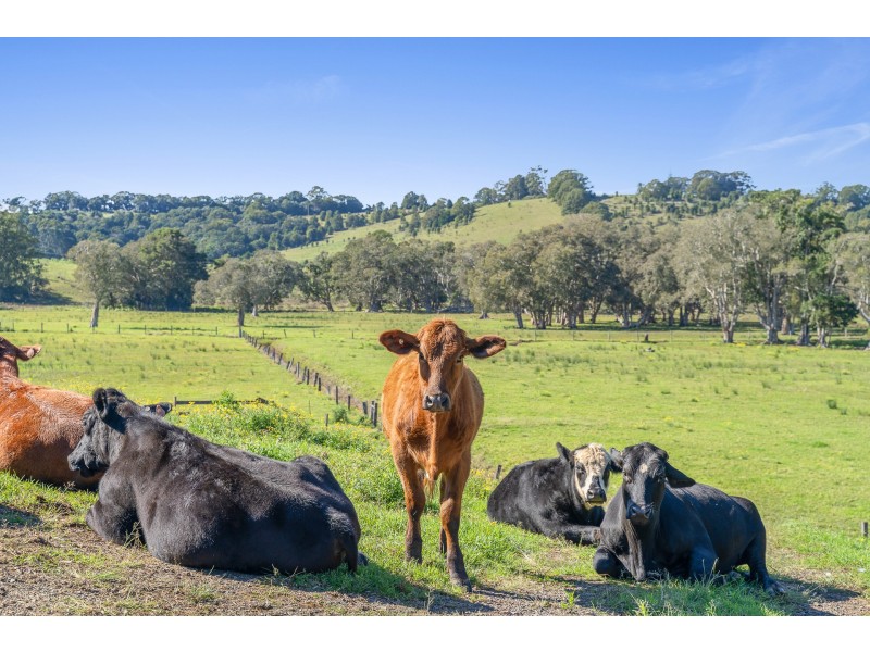 962 Tamarind Drive, Tintenbar NSW 2478