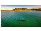 137-139 Jonson Street, Byron Bay NSW 2481