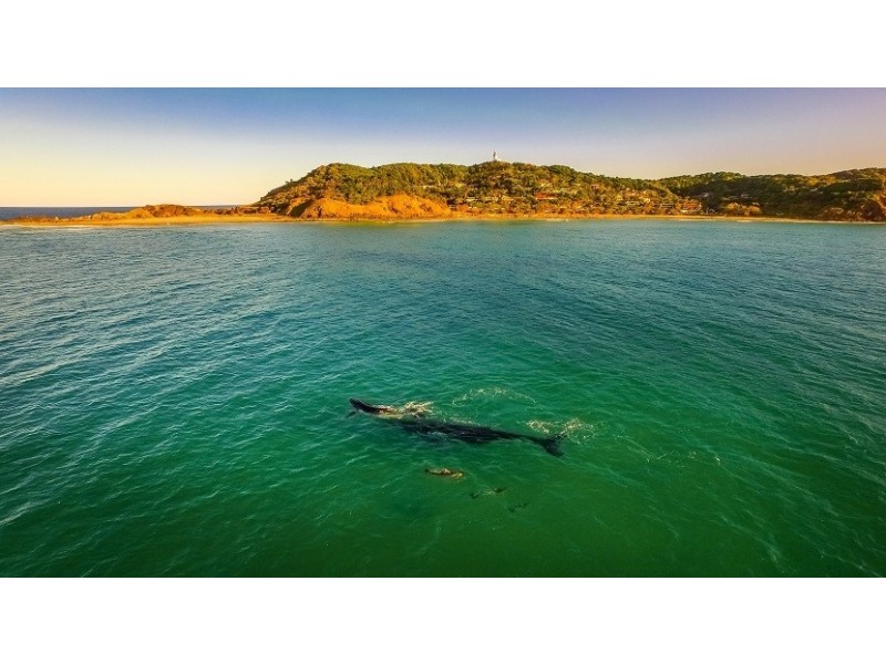 137-139 Jonson Street, Byron Bay NSW 2481