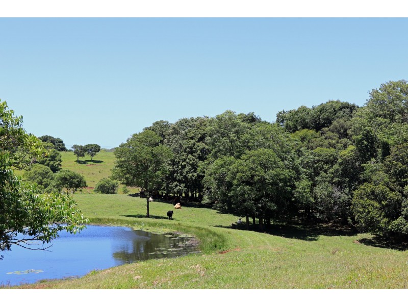 367 Coopers Shoot Road, Coopers Shoot NSW 2479