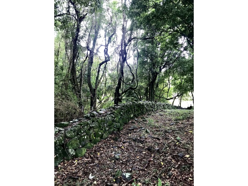 367 Coopers Shoot Road, Coopers Shoot NSW 2479