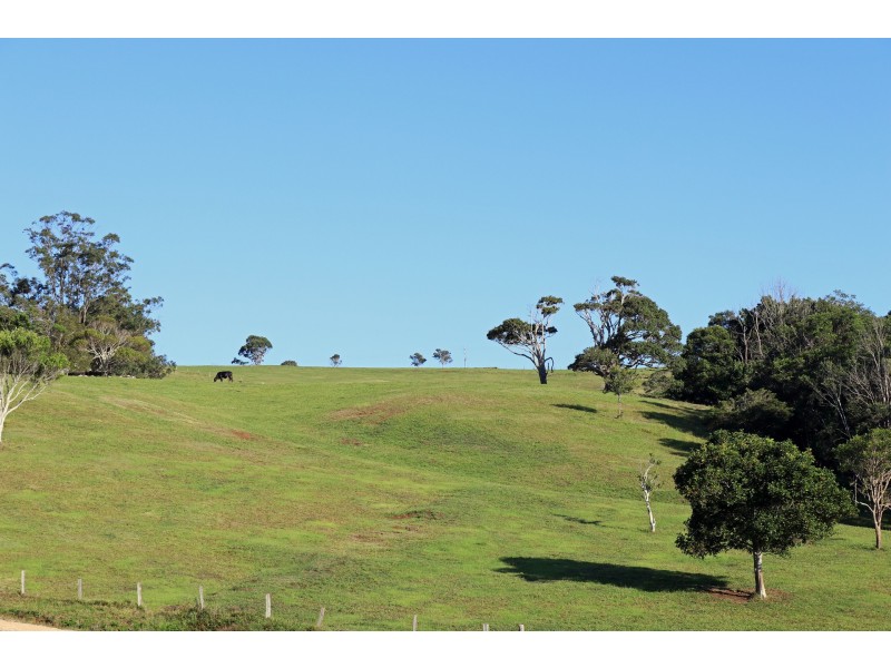 367 Coopers Shoot Road, Coopers Shoot NSW 2479