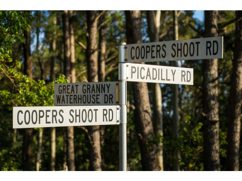 367 Coopers Shoot Road, Coopers Shoot NSW 2479