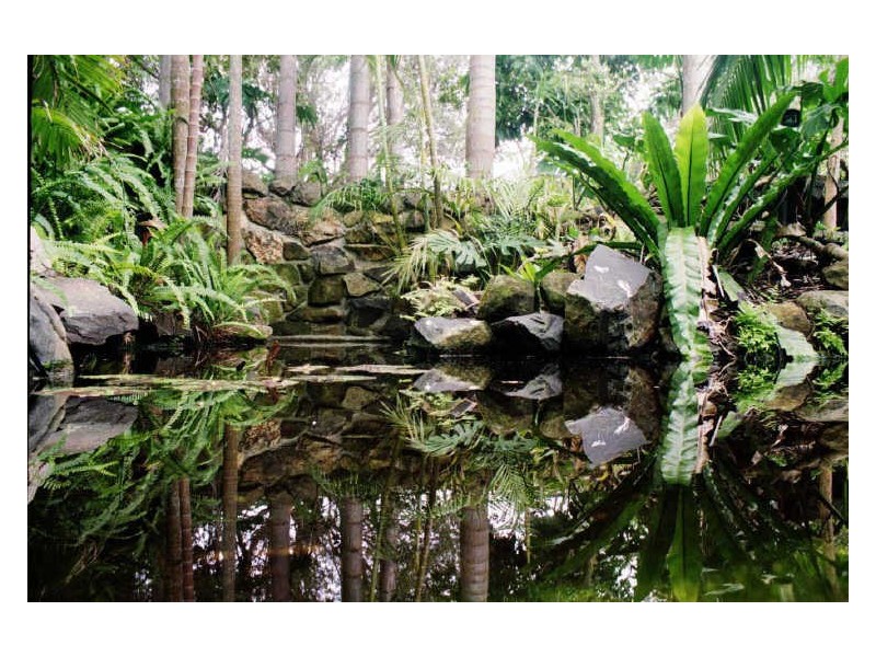 24 Cavvanbah Street, Byron Bay NSW 2481