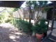 19 Scott Street, Byron Bay NSW 2481