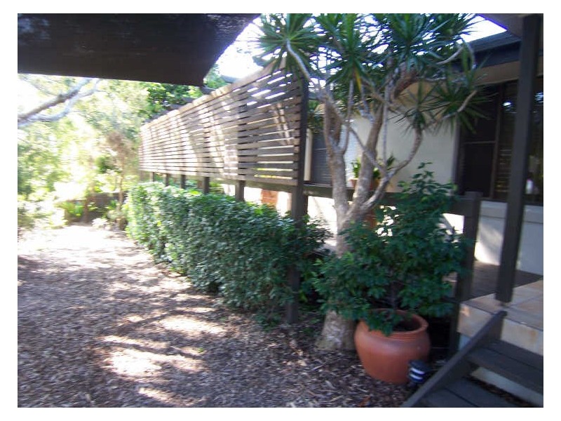 19 Scott Street, Byron Bay NSW 2481