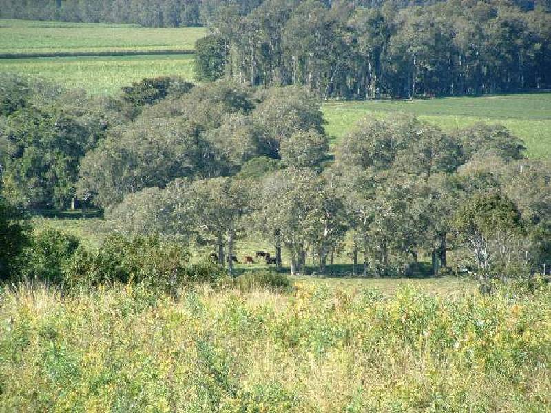 Lot 2 Phillips Road, Newrybar NSW 2479