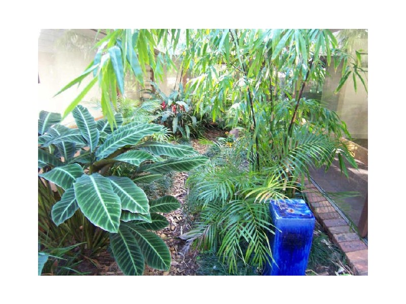 144 Broken Head Road, Byron Bay NSW 2481