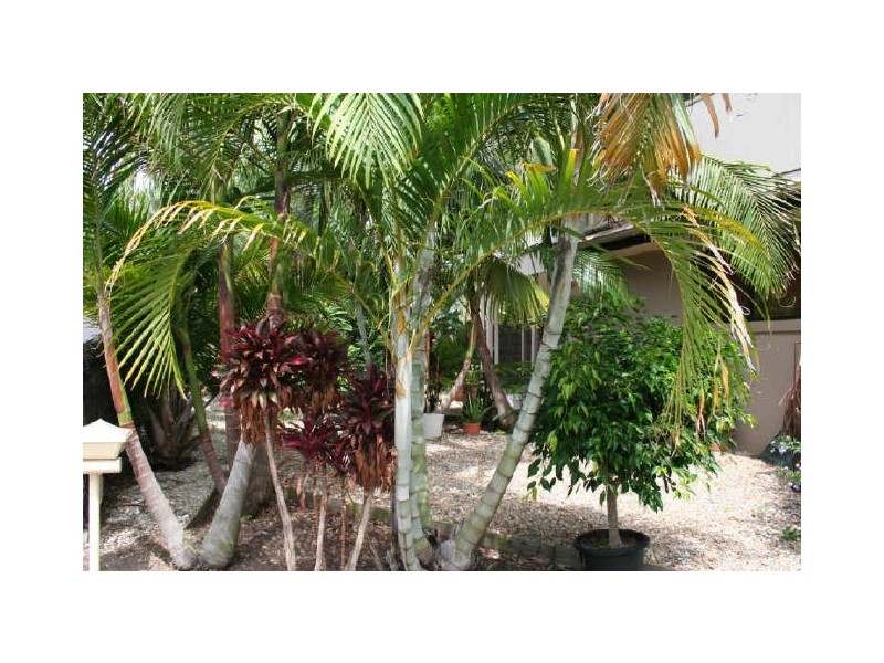 68 Massinger Street, Byron Bay NSW 2481