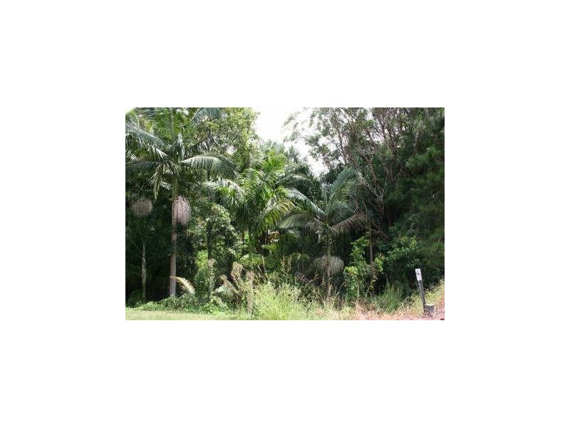 678 Broken Head Road, Byron Bay NSW 2481