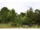 678 Broken Head Road, Byron Bay NSW 2481