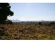 Lot 10 McInnes Lane, Tyagarah NSW 2481