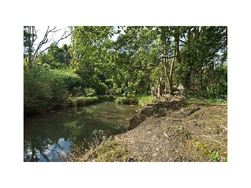 511 Friday Hut Road, Binna Burra NSW 2479