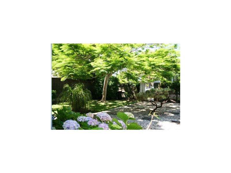 11 Browning Street, Byron Bay NSW 2481