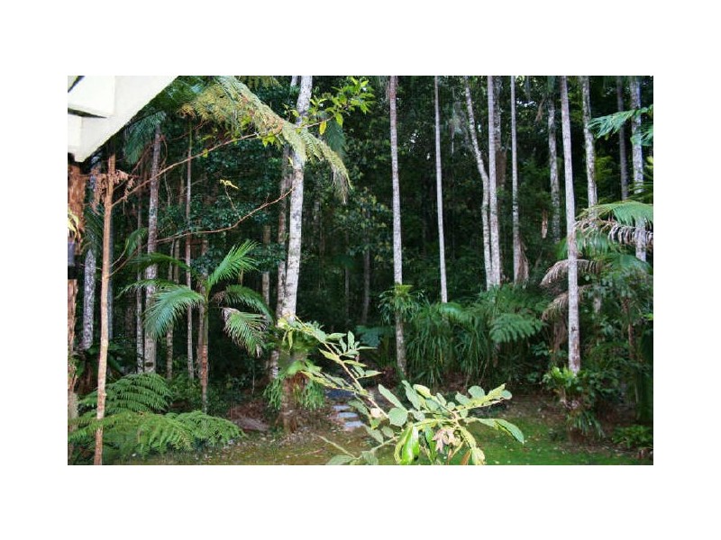 Lot 7 Upper Wilsons Creek Road, Mullumbimby NSW 2482