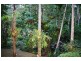 Lot 7 Upper Wilsons Creek Road, Mullumbimby NSW 2482