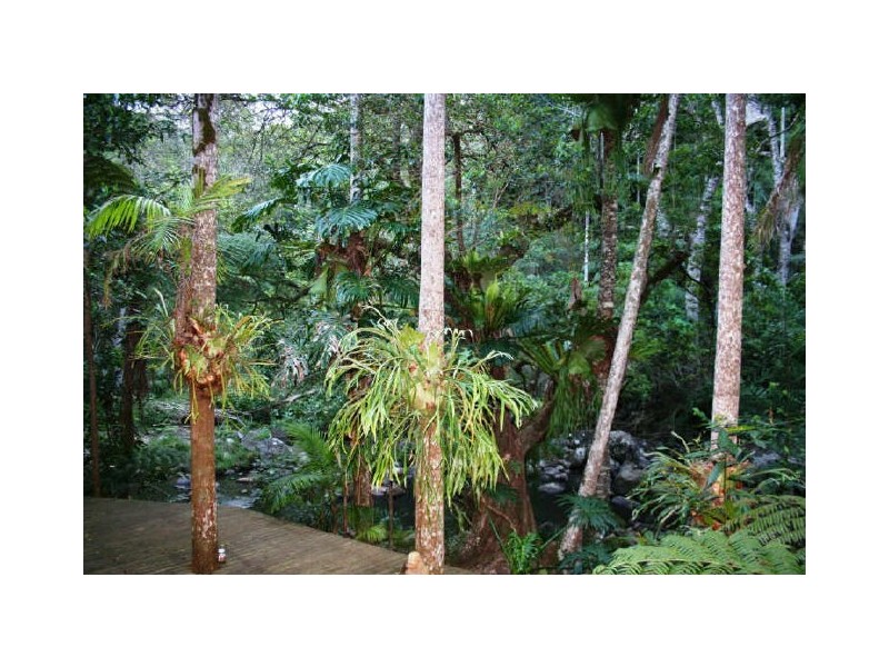 Lot 7 Upper Wilsons Creek Road, Mullumbimby NSW 2482
