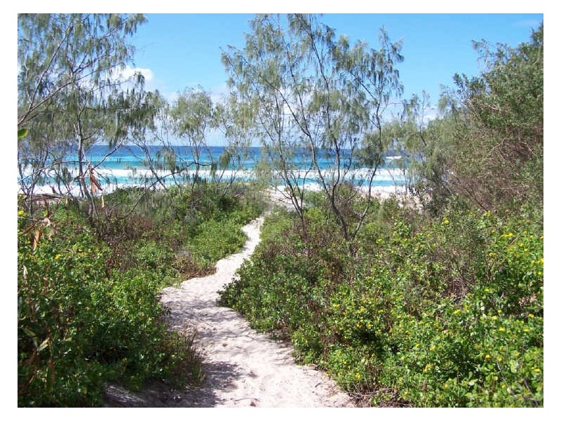 Lot 8/24 Scott Street, Byron Bay NSW 2481