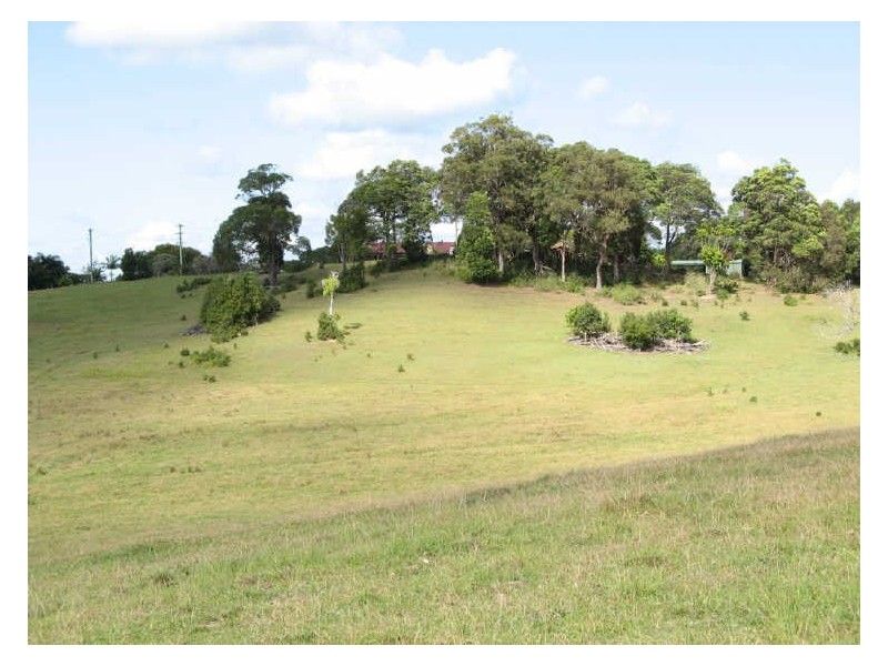 Lot 1 Tuckeroo Avenue, Mullumbimby NSW 2482