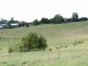 Tuckeroo Avenue, Mullumbimby NSW 2482