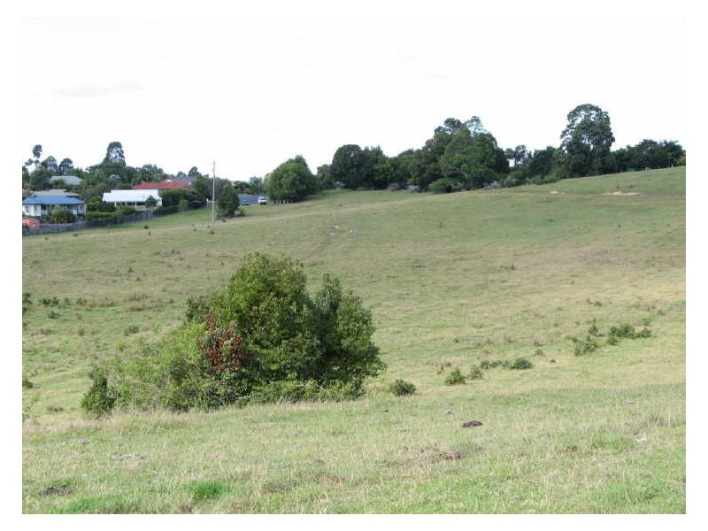 Tuckeroo Avenue, Mullumbimby NSW 2482