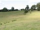 Tuckeroo Avenue, Mullumbimby NSW 2482