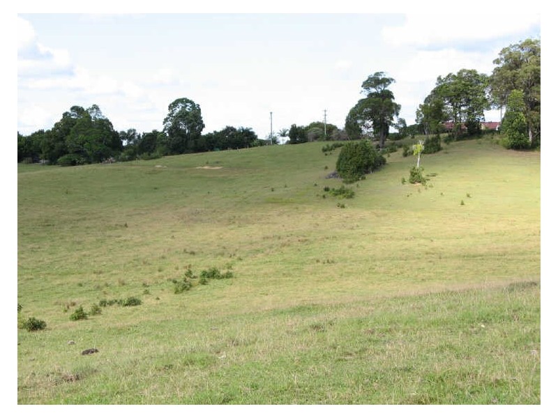Tuckeroo Avenue, Mullumbimby NSW 2482