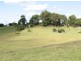 Tuckeroo Avenue, Mullumbimby NSW 2482