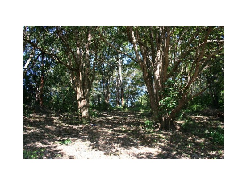 21 Mundurra Avenue, Ocean Shores NSW 2483