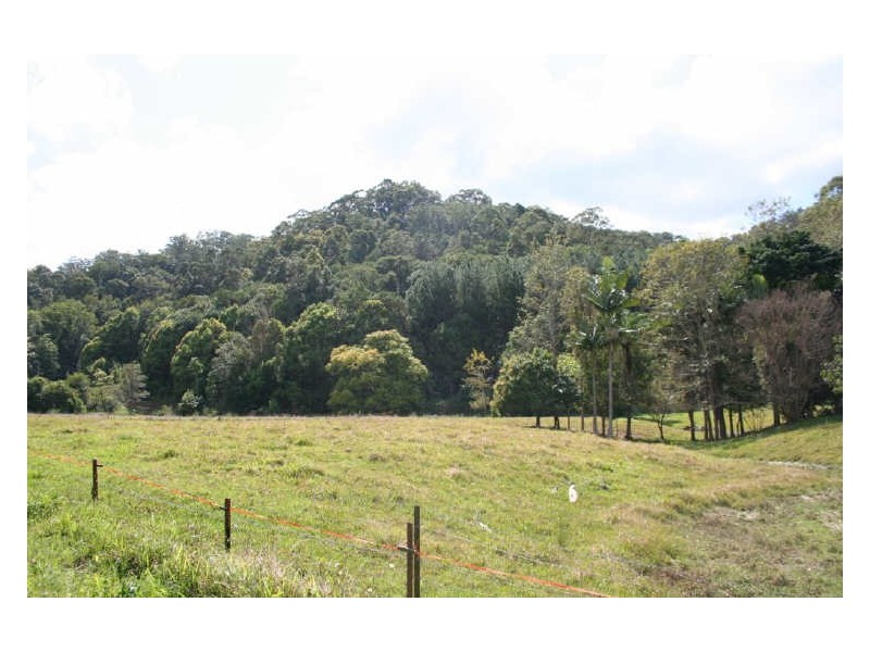 808 Main Arm Road, Mullumbimby NSW 2482